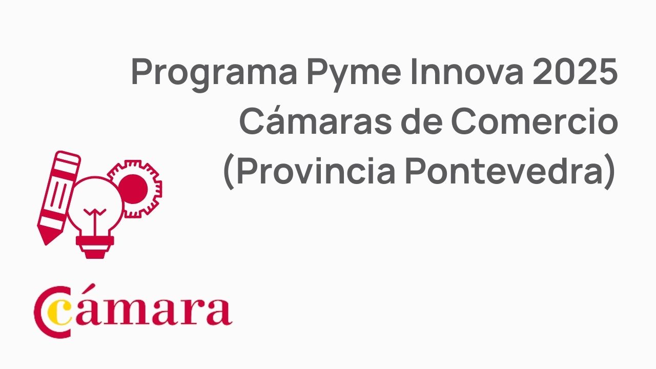 Programa Pyme Innova 2025